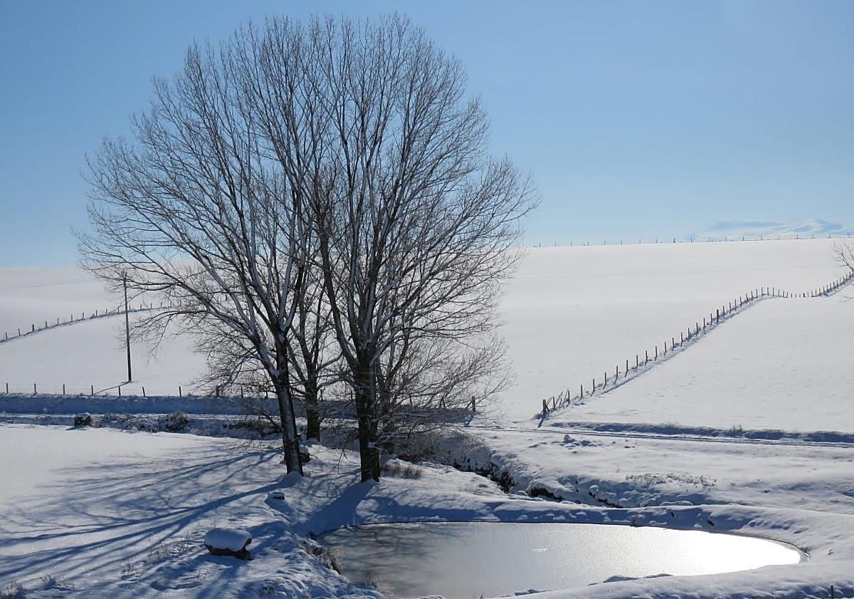 Imagen principal - Segundo y Tercer premios del concurso.